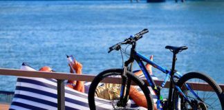 Floridas bästa böcker – författare som är favoriter Floridas bästa böcker