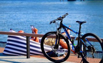 Floridas bästa böcker – författare som är favoriter Floridas bästa böcker